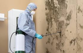 Mold Removal & Remediation